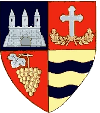 Stema Arad
