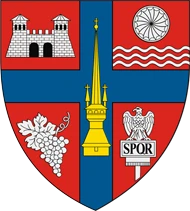 Stema Sălaj