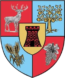 Stema Satu Mare