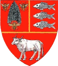 Stema Vaslui